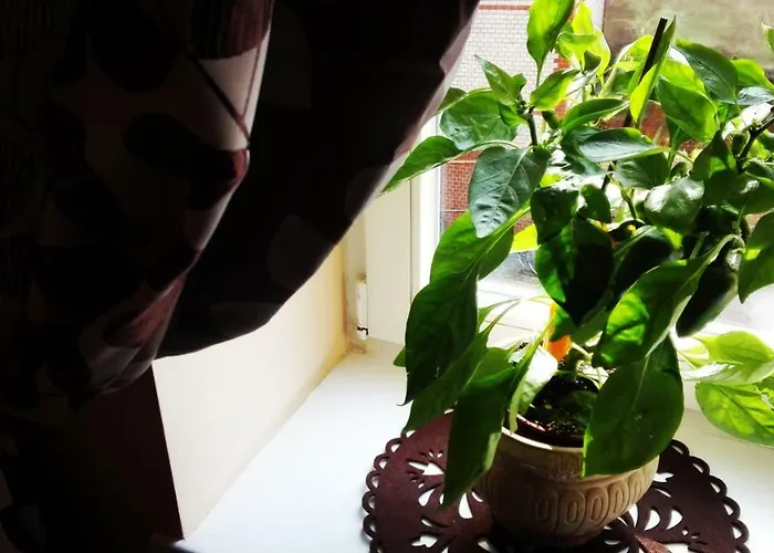 Central Apartments Познань