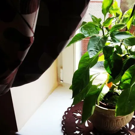 Central Apartments Poznan